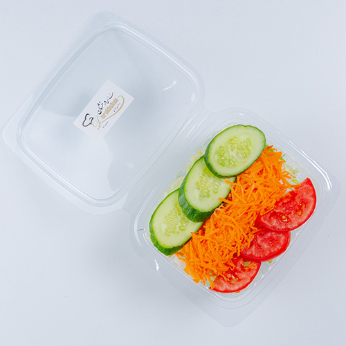  عکس سالاد فصل